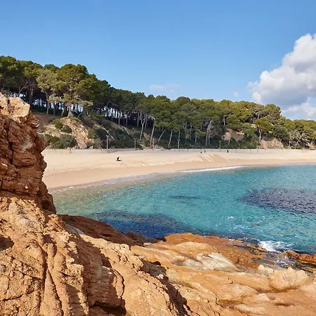 Apartment My Alva Park - 50m From The Lloret de Mar